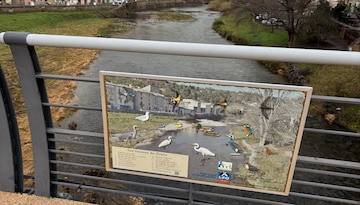 Tout le monde sur le pont